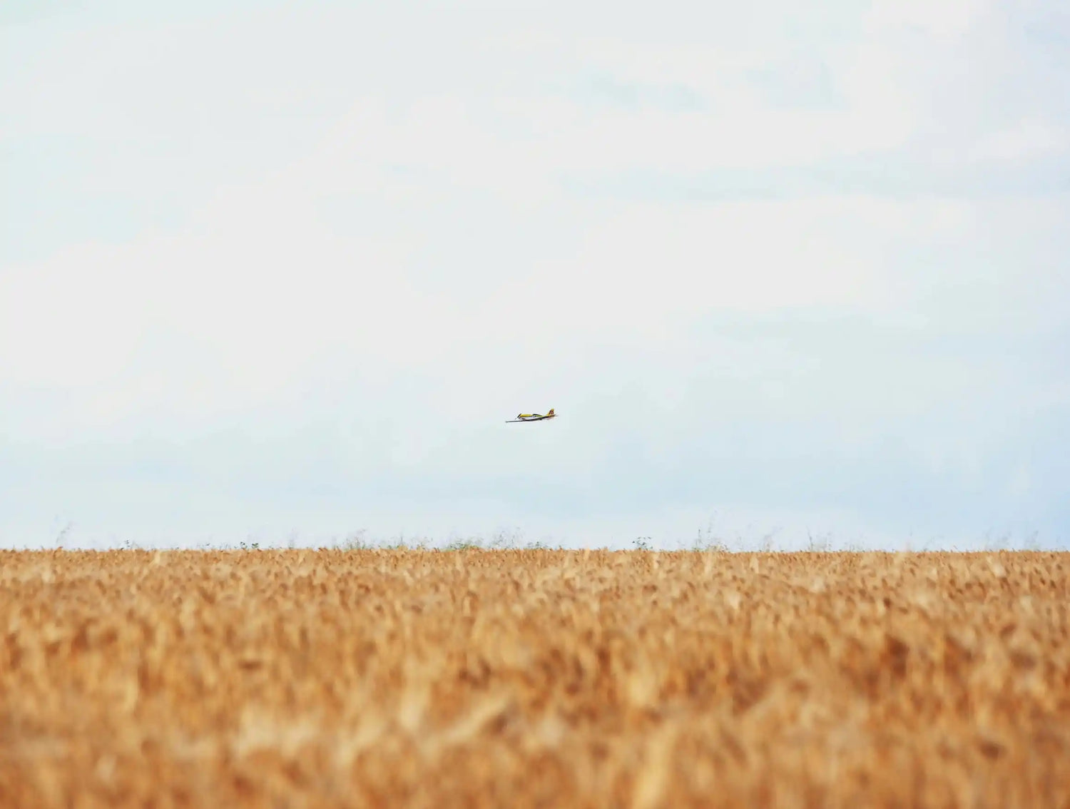 Certified Flight Instructor Lesson Plans: Pilot Certification Success - Backseat Pilot