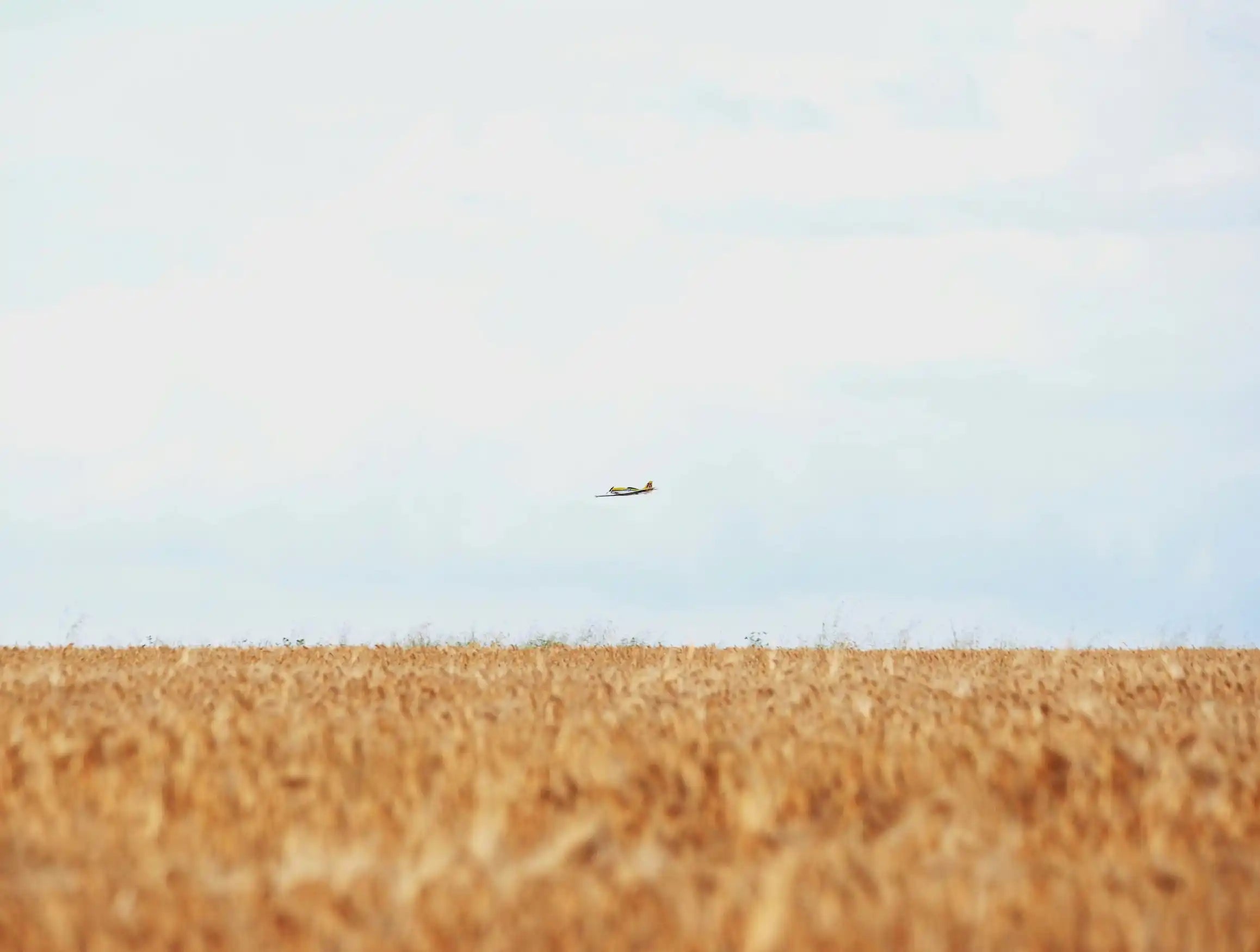 Certified Flight Instructor Lesson Plans: Pilot Certification Success - Backseat Pilot