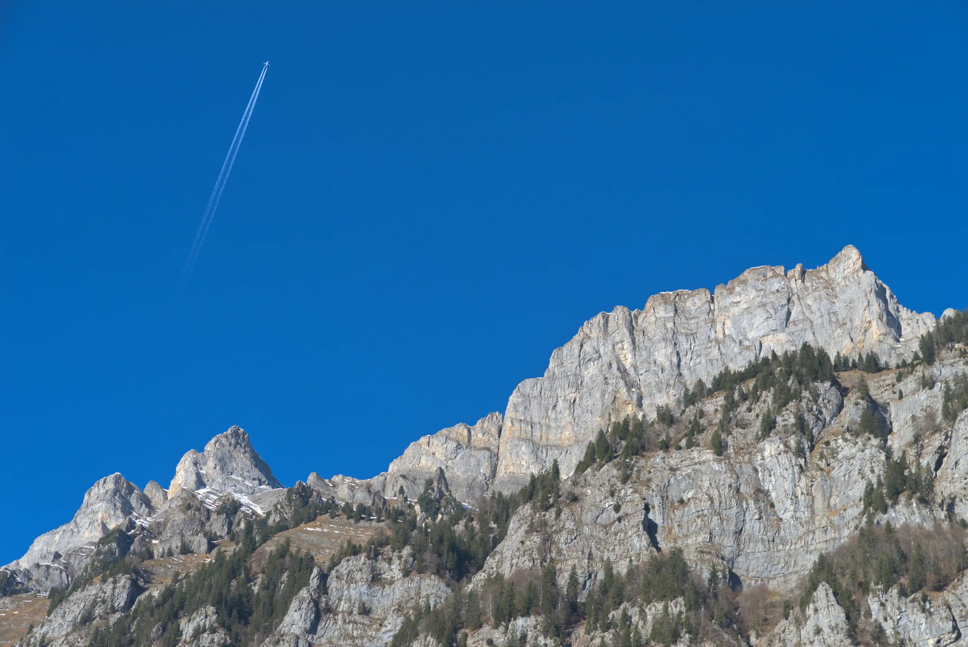 Accelerated Flight Instructor Training: Fast Track - Backseat Pilot