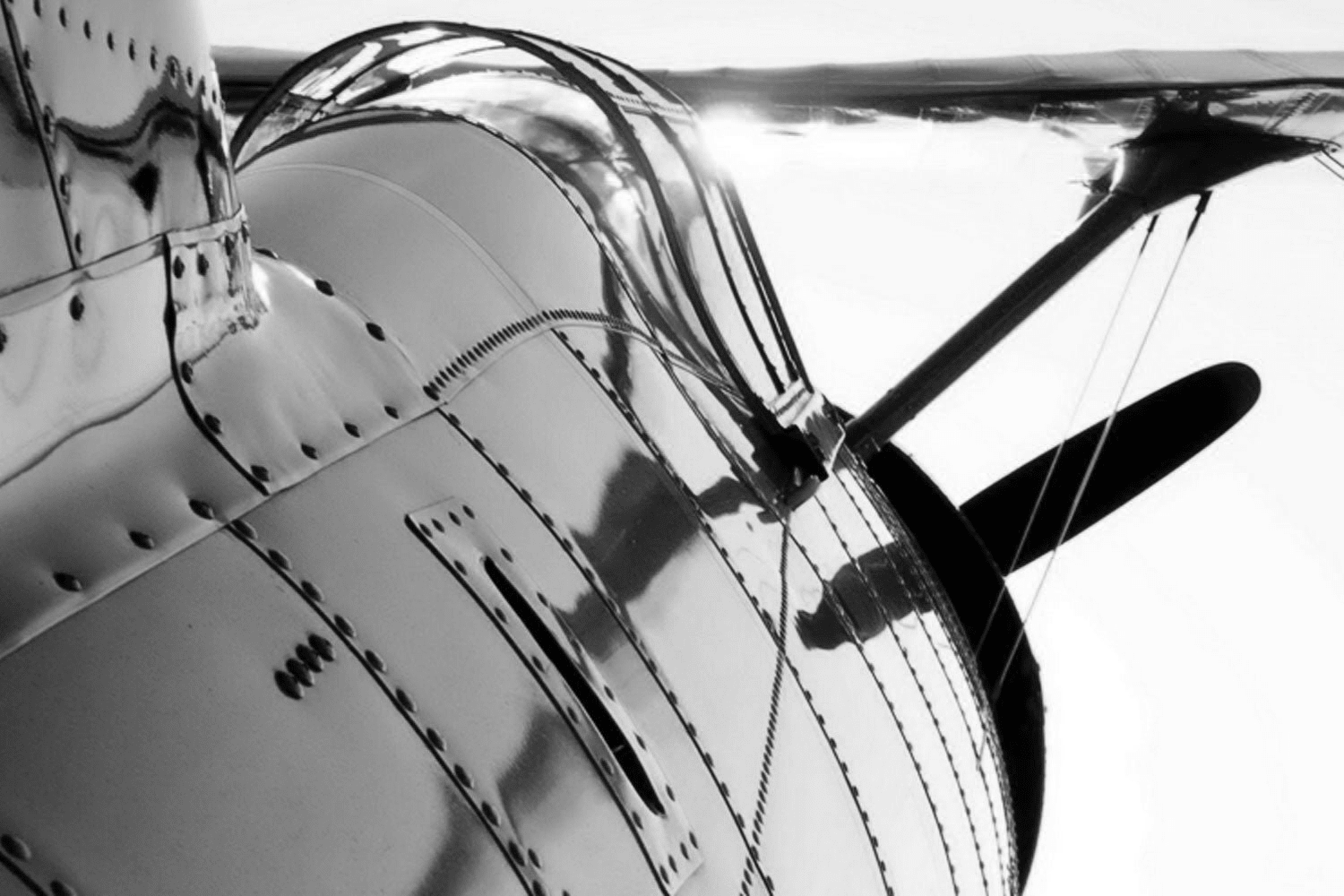 The Whole Shebang - Backseat Pilot