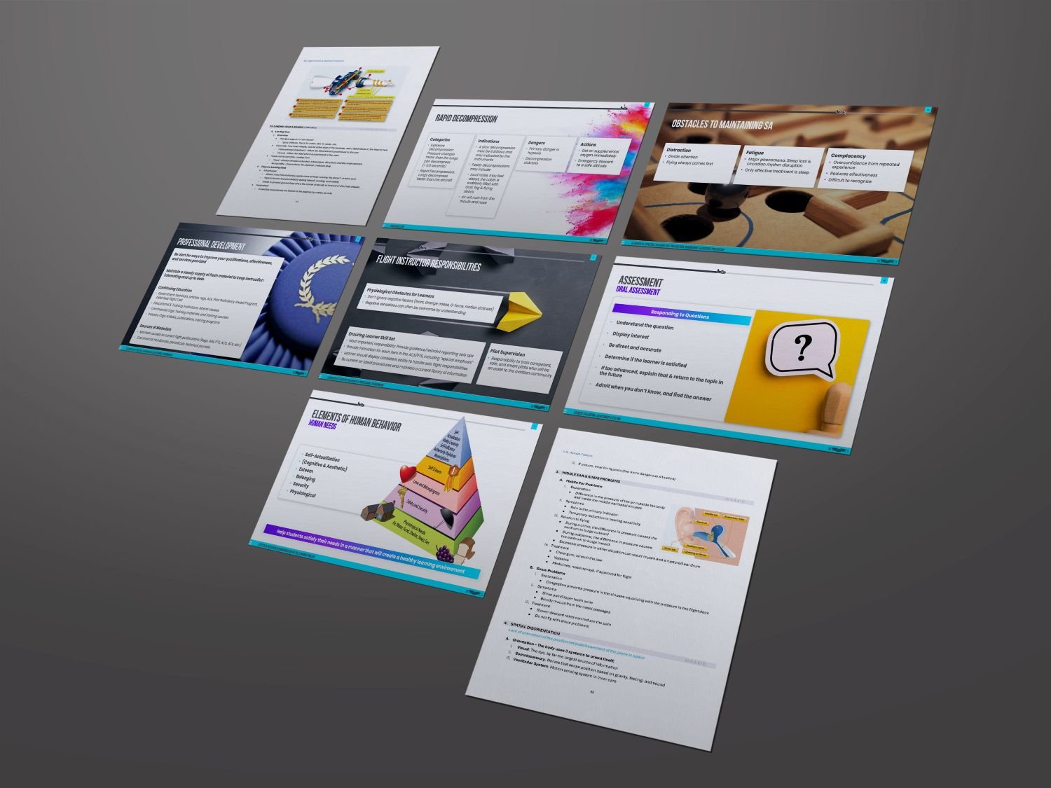 The Whole Shebang - Backseat Pilot