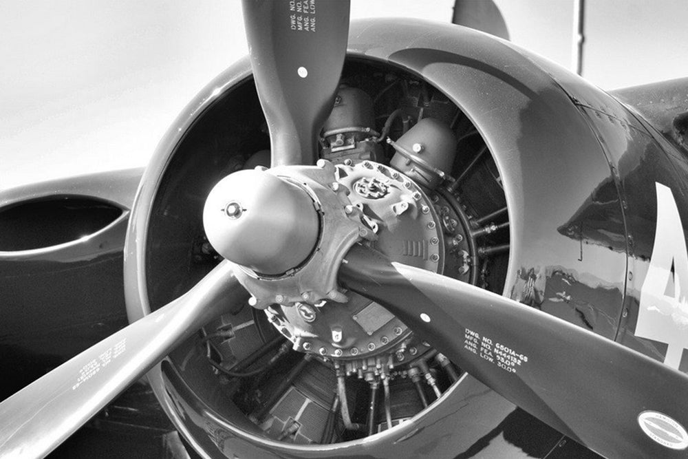 The Backseat Pilot - The Best CFI Lesson Plans