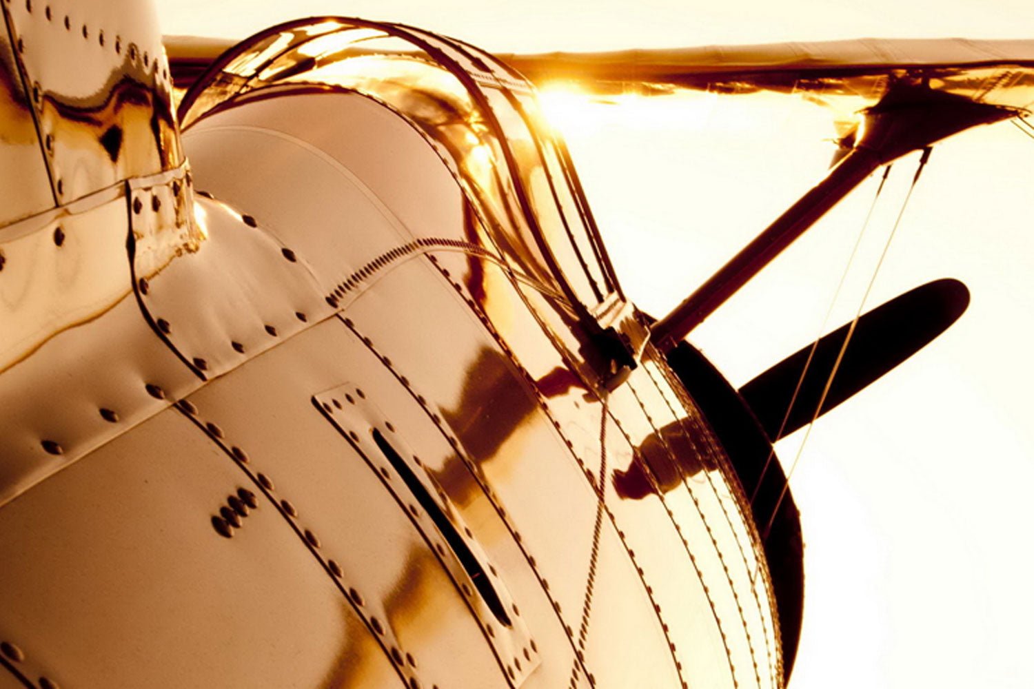 Backseat Pilot CFI Lessons & Samples